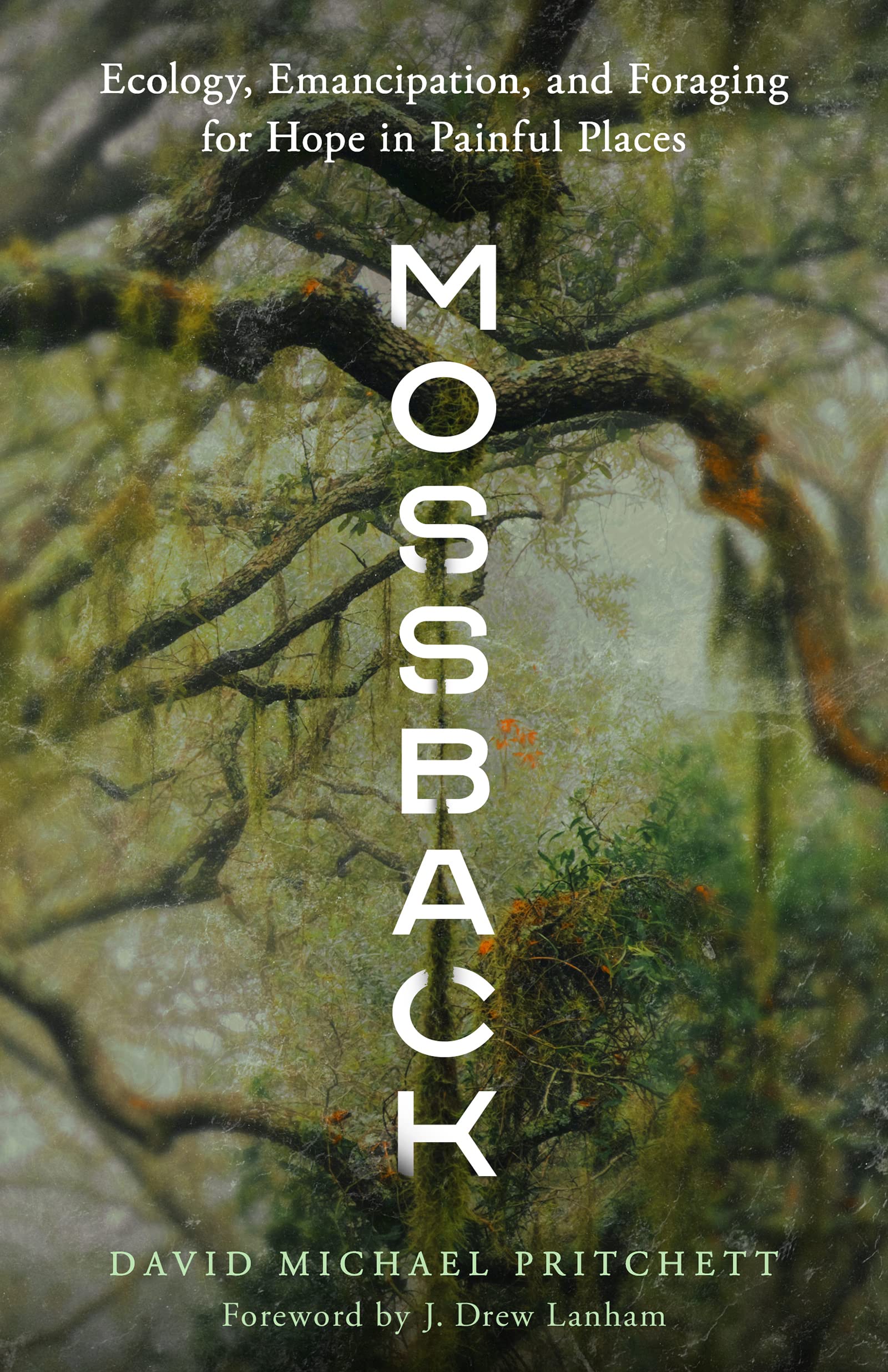 Mossback: Ecology, Emancipation, and Foraging for Hope in Painful Places